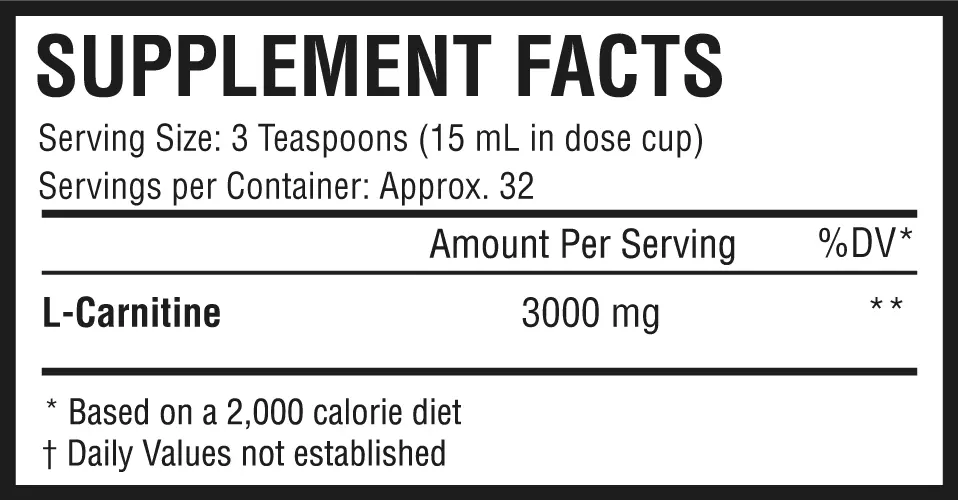 L CARNITINE 3000